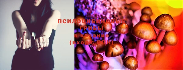 ECSTASY Абинск