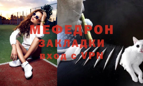 стаф Медногорск