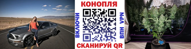 Шишки марихуана THC 21% Шимановск